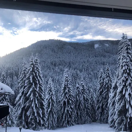Mountain View By Globalimmoservice Ebene Reichenau