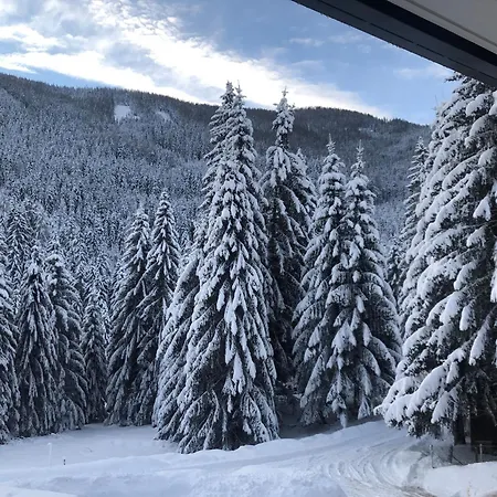 Апартаменты Mountain View By Globalimmoservice