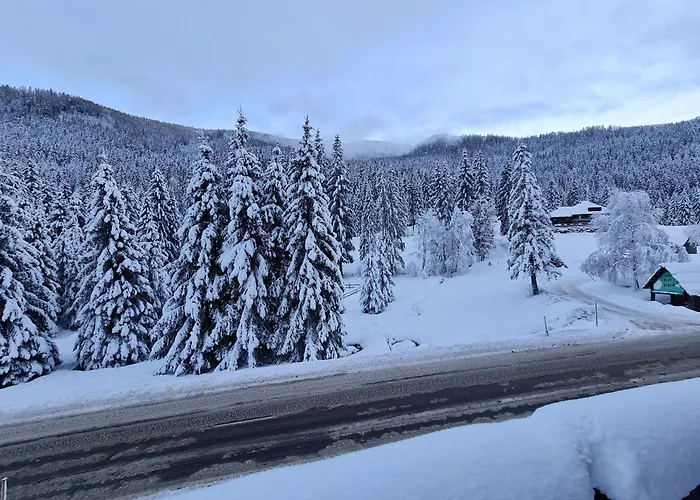 Mountain View By Globalimmoservice Apartament Ebene Reichenau